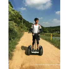 19inch 48V off Road Electric Balance Scooter